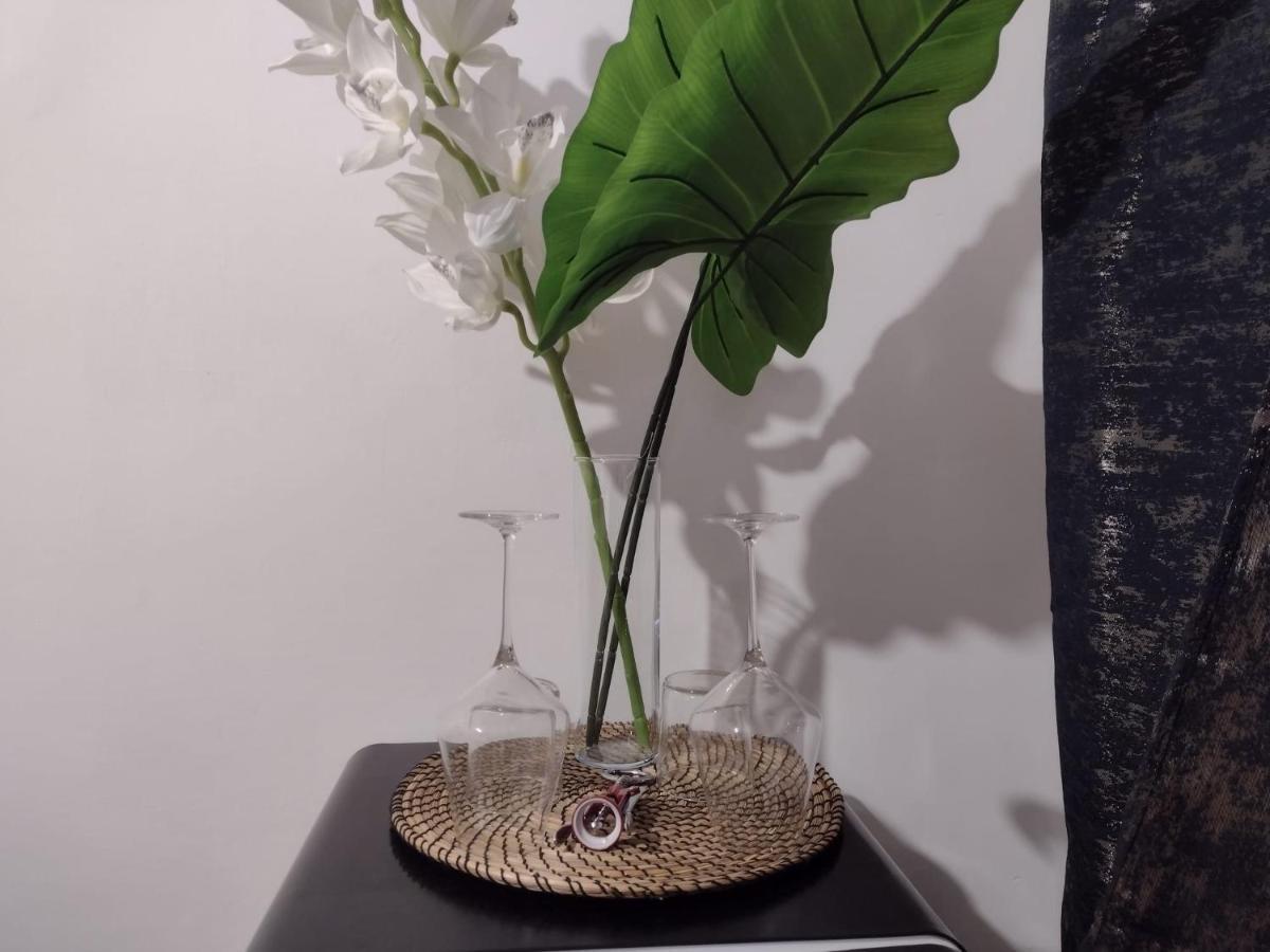 רומא Vatican Luxury Apartment מראה חיצוני תמונה